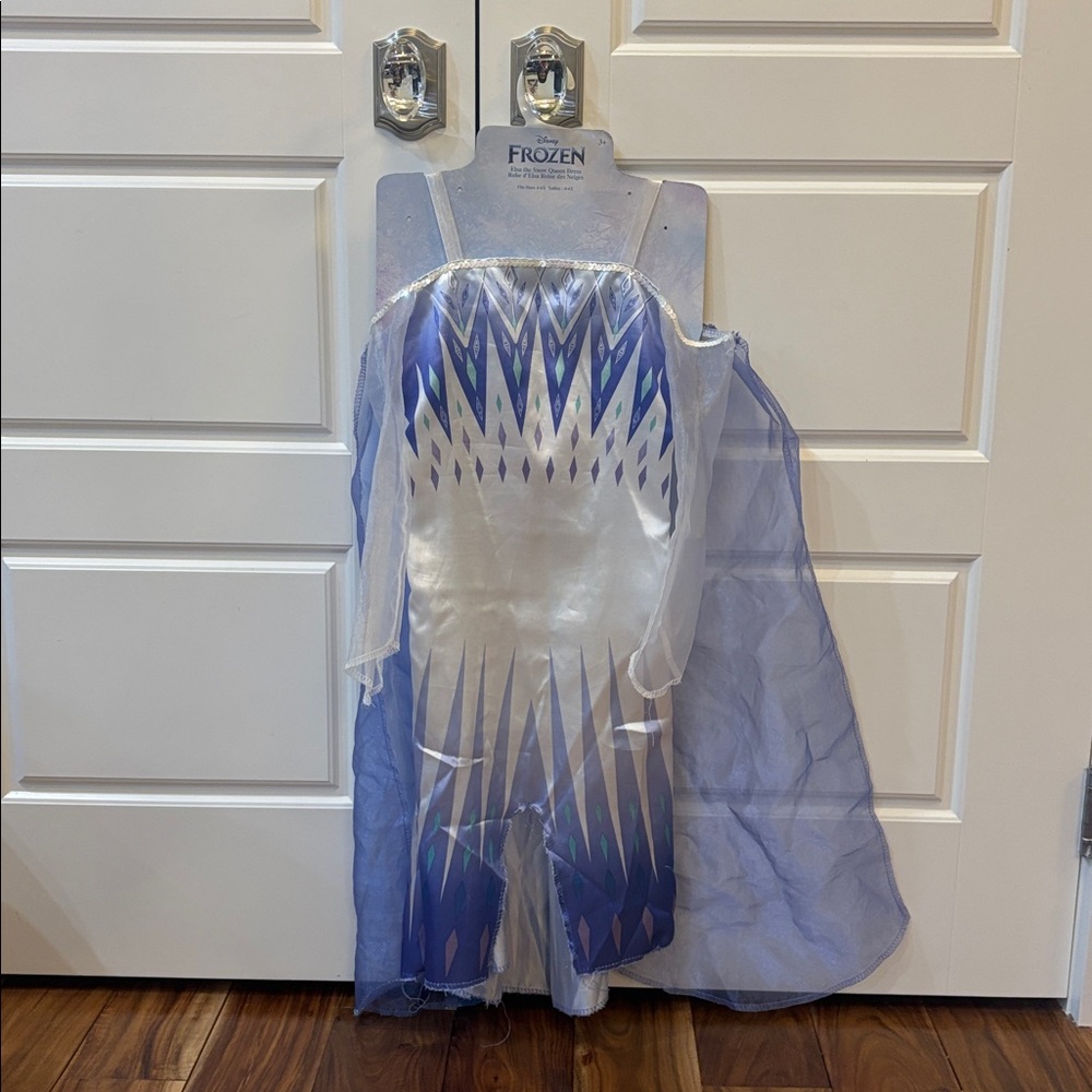 Frozen Themed Blue and Silver Dress